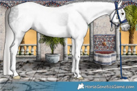 Horse Color:Gray Liver Chestnut Tobiano 