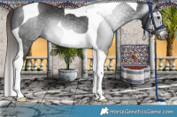 Horse Color:Gray Liver Chestnut Tobiano 