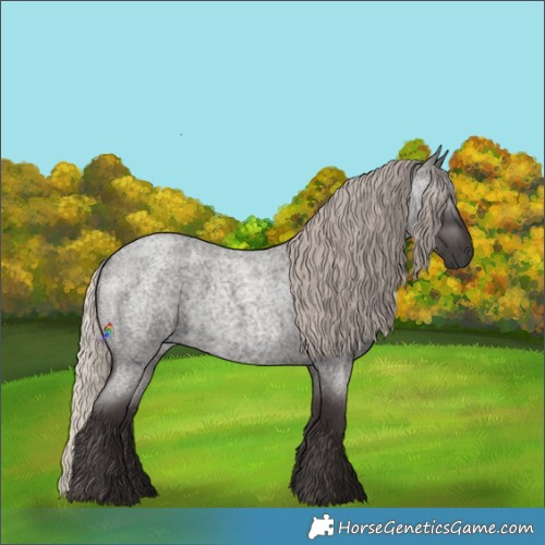 Horse Color:Gray Silver Blue Roan 
