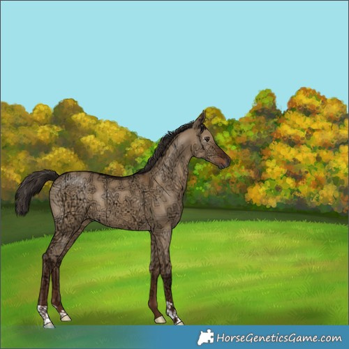 Horse Color:Gray Liver Red Dun Ice 
