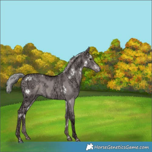 Horse Color:Platinum White Spotted Liver Red Dun Ice 