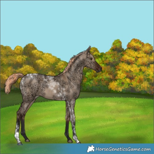 Horse Color:Liver Red Dun Ice Tobiano 