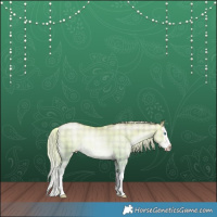 Horse Color:Platinum Plaid  White Spotted Chocolate Palomino Pearl Dun Splash Rabicano 