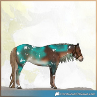 Horse Color:White Spotted Liver Chestnut 