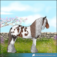 Horse Color:Liver Chestnut Tobiano Near Leopard 