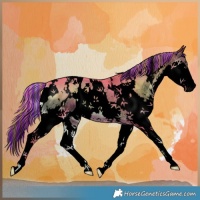 Horse Color:Void Painted Watercolor White Spotted Liver Red Onyx Splash