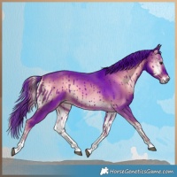 Horse Color:Watercolor Liver Red Onyx Tobiano Rabicano