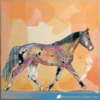 Horse Color:Painted Watercolor White Spotted Liver Red Onyx 