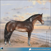 Horse Color:White Spotted Brown Rabicano 