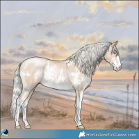 Horse Color:White Spotted Silver Buckskin Pearl Sabino 