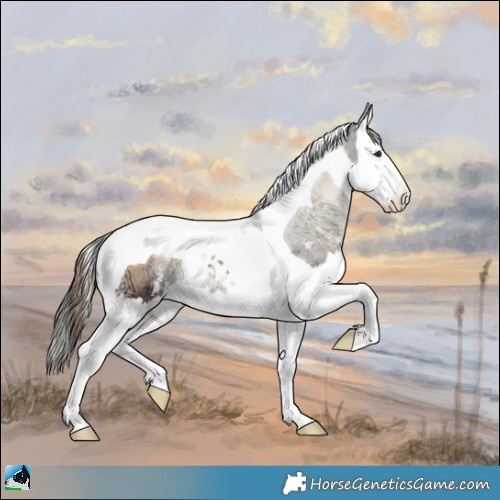 Horse Color:Liver Red Onyx Ice Sabino Splash Tobiano Rabicano