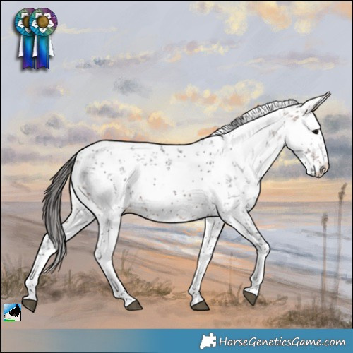 Horse Color:White Spotted Bay Sabino Rabicano 