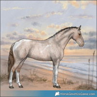 Horse Color:Blue Roan Pearl Tobiano 