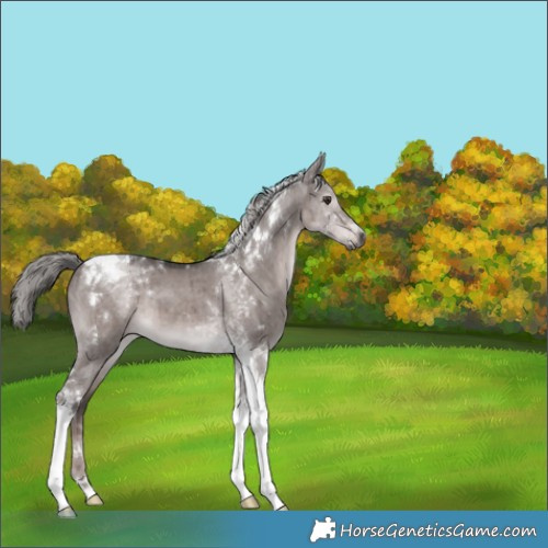 Horse Color:Gray Platinum Liver Red Dun Tobiano Brindle 
