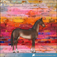 Horse Color:Liver Chestnut Tobiano