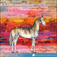 Horse Color:Silver Buckskin Onyx Sabino Rabicano 