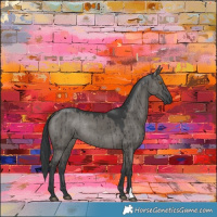 Horse Color:Grullo Rabicano Brindle 