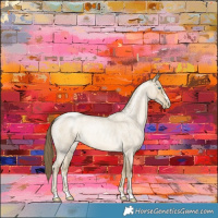 Horse Color:Smoky Grullo Roan Pearl Rabicano 