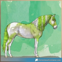 Horse Color:Watercolor White Spotted Liver Red Onyx Ice Tobiano 
