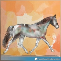 Horse Color:Plaid  Liver Red Onyx Tobiano Brindle 