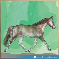 Horse Color:Plaid  Liver Red Onyx Ice Tobiano 