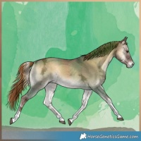 Horse Color:Liver Red Dun Ice Onyx Tobiano Rabicano