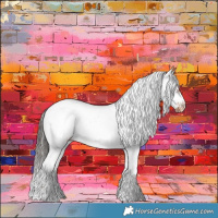 Horse Color:Liver Chestnut Sabino Frame Appaloosa 