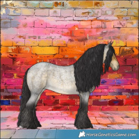 Horse Color:Buckskin Roan 