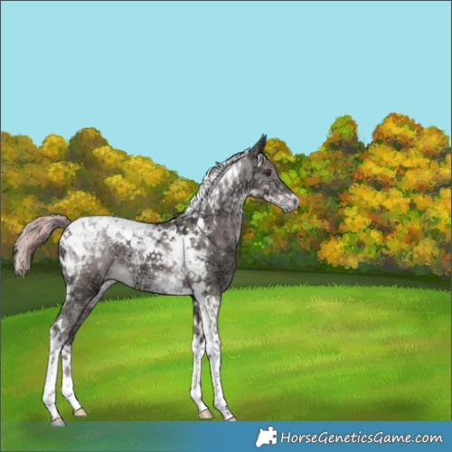 Horse Color:Platinum Liver Red Dun Ice Tobiano 