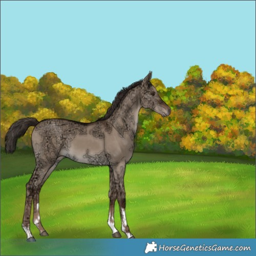 Horse Color:White Spotted Liver Red Dun Ice 