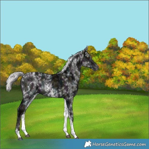 Horse Color:Platinum White Spotted Midnight Liver Red Dun Ice Mushroom Tobiano 