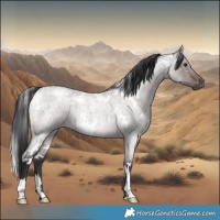 Horse Color:Platinum White Spotted Liver Red Dun Roan Brindle 