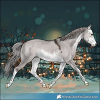 Horse Color:Platinum White Spotted Liver Red Dun