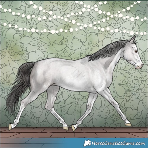 Horse Color:Platinum White Spotted Liver Red Dun 