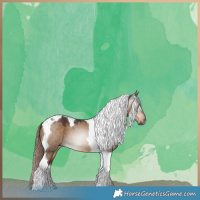 Horse Color:Gray Liver Red Dun Tobiano 