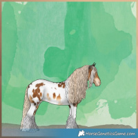 Horse Color:Chocolate Palomino Tobiano Near Leopard 