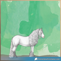 Horse Color:Cremello Tobiano Frame Near Leopard