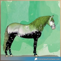 Horse Color:Watercolor White Spotted Liver Red Onyx