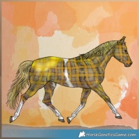 Horse Color:Plaid  White Spotted Liver Red Dun Tobiano Brindle 