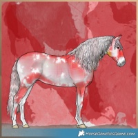 Horse Color:Watercolor Plaid White Spotted Liver Red Onyx