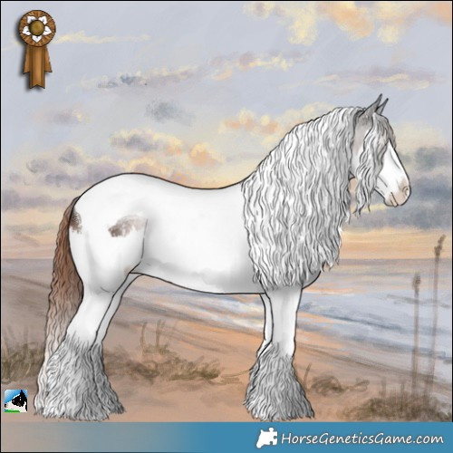 Horse Color:Liver Chestnut Sabino Splash Tobiano Rabicano 