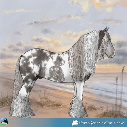 Horse Color:White Spotted Silver Black Tobiano Rabicano 