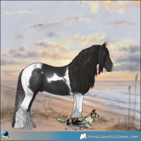 Horse Color:Liver Chestnut Tobiano 