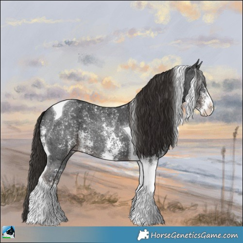 Horse Color:Liver Chestnut Ice Sabino Tobiano