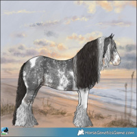 Horse Color:Liver Chestnut Ice Sabino Tobiano 