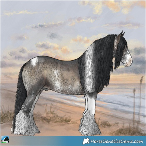 Horse Color:Brown Ice Onyx Sabino Tobiano 