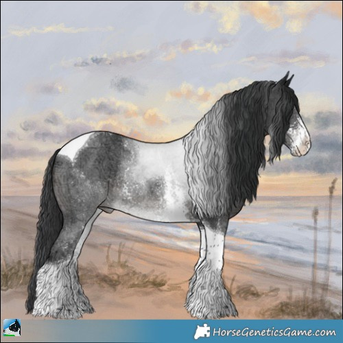 Horse Color:Black Ice Sabino Tobiano Rabicano 