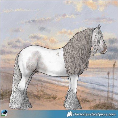 Horse Color:Silver Brown Tobiano Rabicano 
