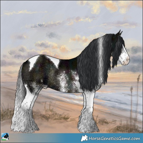 Horse Color:White Spotted Midnight Brown Ice Onyx Splash Tobiano Rabicano 