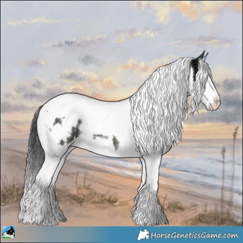 Horse Color:White Spotted Midnight Blue Onyx Ice Splash Tobiano Rabicano